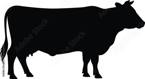 A side profile view of a cow presented as a striking black silhouette on a white background