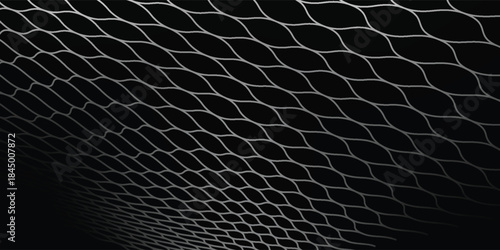 Abstract white and black mesh background for sports, mesh texture for fishing nets. illustration.