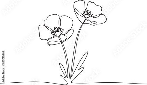Poppy flowers in continuous line art drawing style. Doodle a floral border with two flowers blooming among grass.