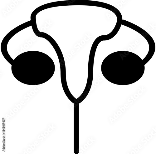 Female Ovary