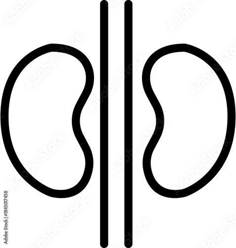 Kidney