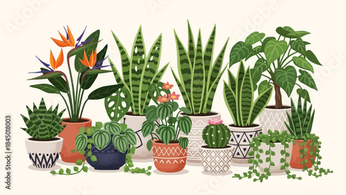 Vibrant Assortment of Potted Houseplants and Exotic Tropical Flowers