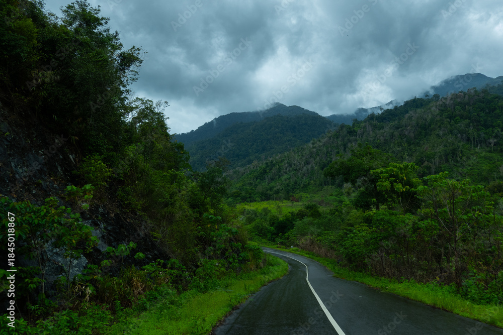 Fototapeta premium Dark and gloomy forest scenery on mountain layers landscape in Jantho, Aceh, Indonesia, with thick fog that limits visibility
