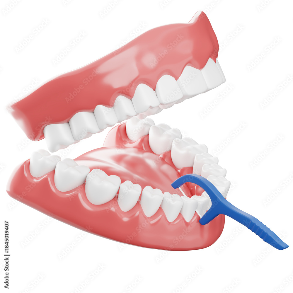 Obraz premium Dental Floss Between Teeth 3D Illustration