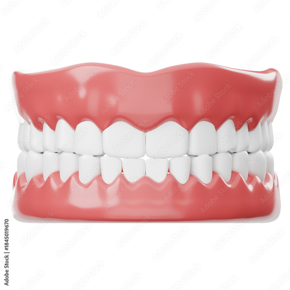 Obraz premium Dentures for False Teeth Illustration