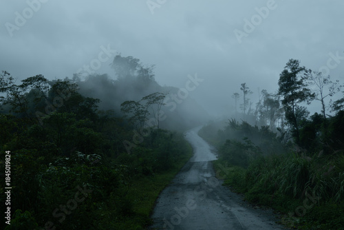 Wallpaper Mural Dark and gloomy forest scenery on mountain layers landscape in Jantho, Aceh, Indonesia, with thick fog that limits visibility Torontodigital.ca
