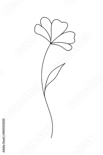 Minimalist single line drawing of a delicate flower