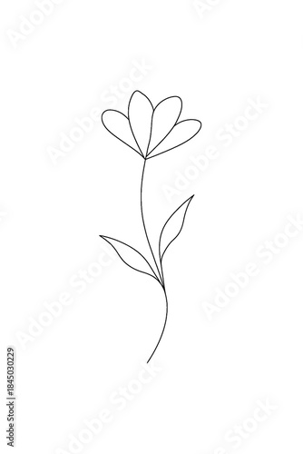 Simple line drawing of a delicate flower with stem and leaves