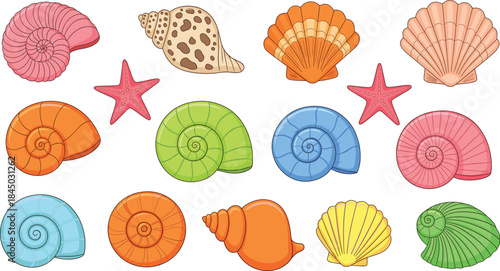 Colorful seashells and starfish vector collection with ocean beach shells in cute hand drawn cartoon style isolated on white background