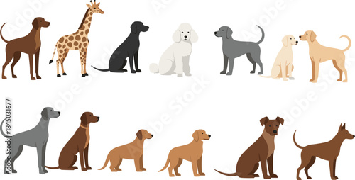 Cute cartoon dog breeds and animal characters set including sitting and standing pets in flat vector illustration style
