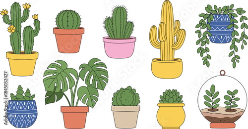 Cute potted houseplants and cactus vector set with indoor plants monstera hanging pots and terrarium in colorful flat illustration style