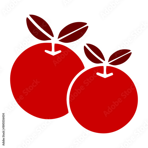 Chinese Oranges Mandarin Icon