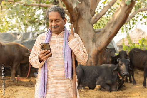 Senior indian dairy farmer using smart phone. Cattle farming business. Cow animal. Digital india. Copy space