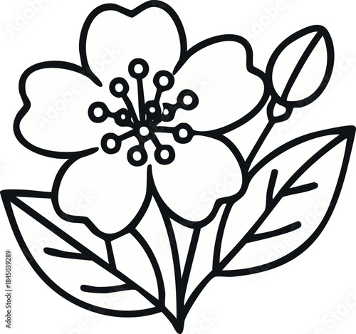  Jasmine tea flower line icon 