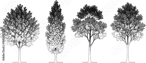 Artistic Line Art Vector Set of Various Deciduous and Conical Trees, Perfect for Architectural and Landscape Design