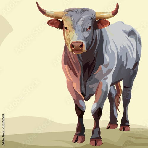 Majestic bull standing in a field