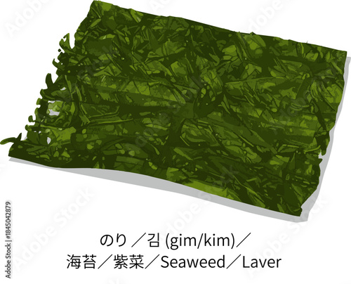 Single sheet of dried nori seaweed on white background Japanese food ingredient for cooking