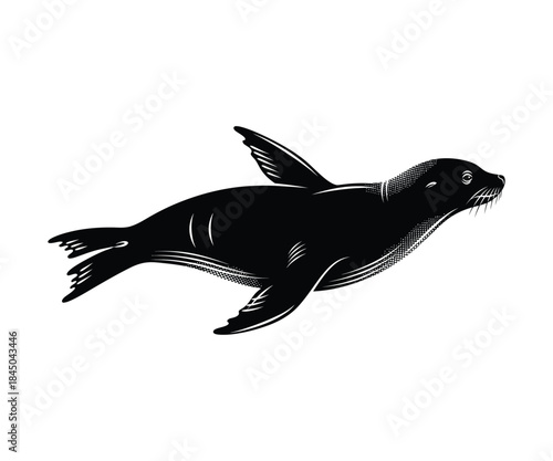 Sea lion swimming with dotted texture on a white background