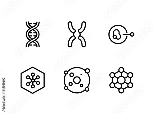DNA Helix Chromosome Gene Genome Cell Structure Molecular Model Minimal Bold Line