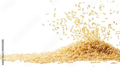 Raw organic rice grains uncooked white cereal kernels agricultural food texture macro studio photography isolated on white background