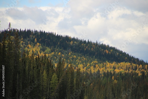 autumn in the mountains, Nordegg, Alberta