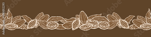 Cocoa beans fruits border template. Seamless floral border for food packaging, wrapping. Chocolate design, vector illustration with cocoa plant parts in vintage ink drawing style.