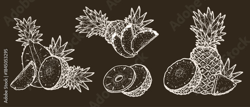 Set of pineapple fruit compositions. Sketch vector illustrations set on dark background. White outline tropical fruit for food backgrounds, branding, fabric designs. Ananas slices and whole fruits.