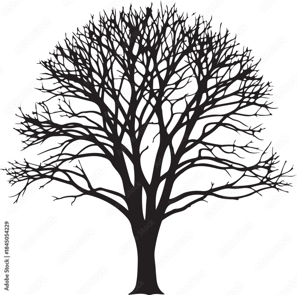 Obraz premium Illustration of bare black tree silhouette on