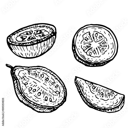Guava vector food sketch. Sliced tropical fruit pieces, isolated set for summer design. Healthy organic pink guajava, vintage hand-drawn style.
