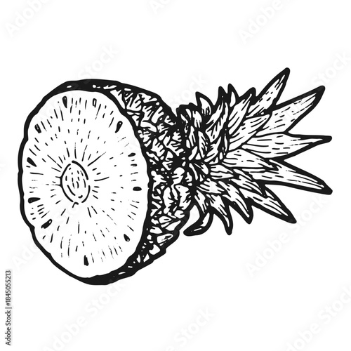 Pineapple tropical food vector. Sweet ananas slice isolated, natural fruit art for dessert, juice, cocktail design, summer drawing in vintage style.