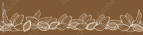 Seamless horizontal floral border with cocoa plants in linear sketch style. Hand drawn vector illustration of cocoa fruit border for wrapping, food design.