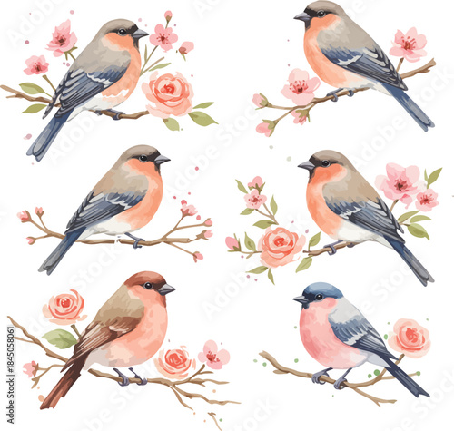 Delicate birds on blossoming branches