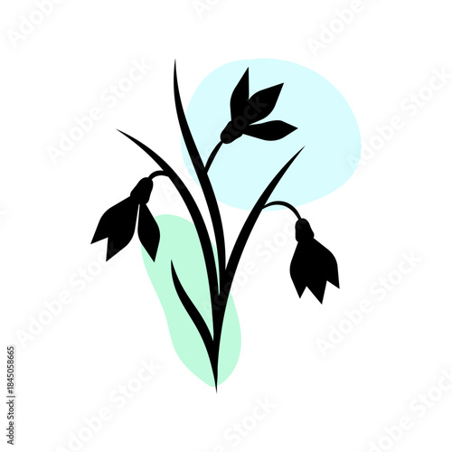 Snowdrops silhouette on white background. Spring flowers. Black outline with colored spots. Isolated vector illustration.