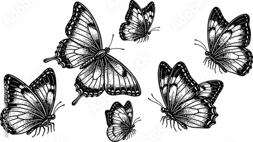 Five butterfly silhouettes in subtle dark tones against a deep black background