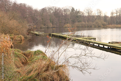 Naturschutzgebiet Krickenbecker Seen bei Hinsbeck (Niederrhein)