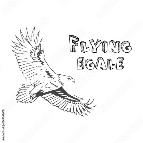 Majestic eagle in flight, soaring with wings spread wide, a symbol of freedom and power