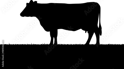 Black Cow Silhouette