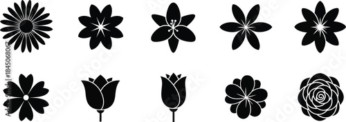 This image serves as a placeholder for a high-quality vector graphic design.