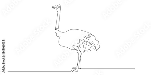 continuous line drawing of an ostrich standing calmly. one line drawing illustrating wildlife, minimal style, elegance, balance, and nature simplicity.