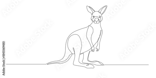 Continuous line drawing of a kangaroo standing upright. One line drawing depicts a kangaroo pose, symbolizing wildlife, strength, nature, and a clean modern minimal illustration style.
