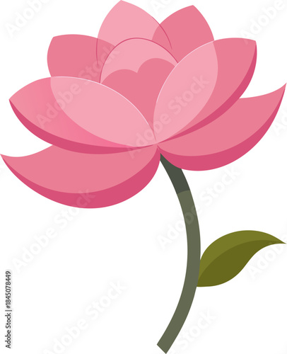 A delicate pink flower illustration isolated on a transparent background