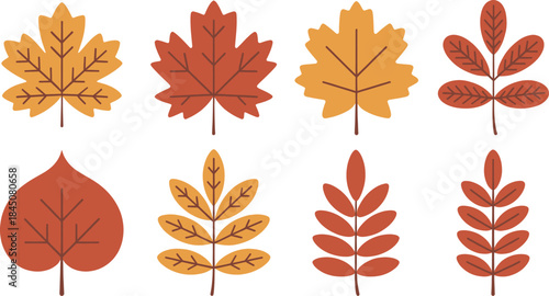 Assortment of autumn fallen leaves in warm colors representing seasonal changes perfect for holiday greeting cards or fall promotions.