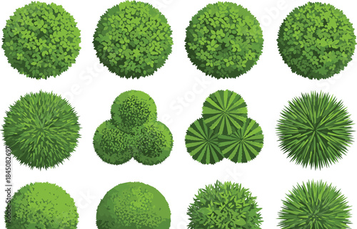Top view green bushes and shrubs collection featuring foliage textures, botanical elements, landscape vegetation, nature plants, vector illustration for garden design