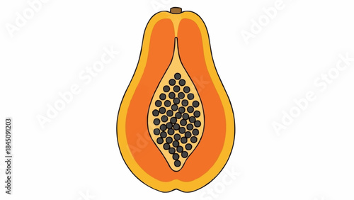 A vibrant illustration of a halved papaya fruit showcasing its juicy orange flesh and numerous black seeds.