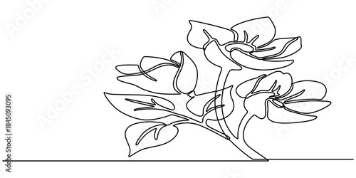 Three tulips on stems in continuous one line art style. Flower bouquet sketch with editable black stroke on white background. Vector illustration.