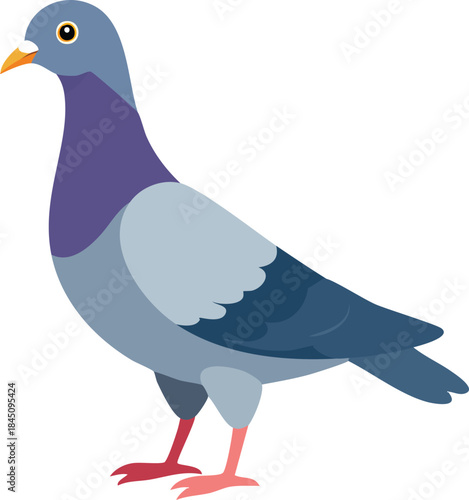 vector illustration of pigeon