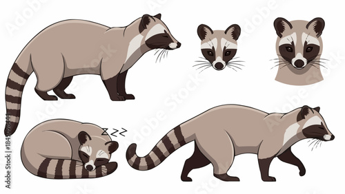 vector illustration of a rhinoceros