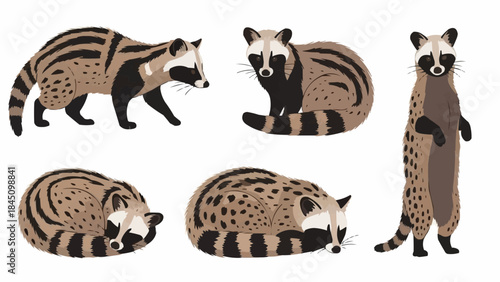 set of funny cartoon animals