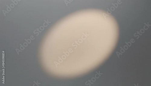 Blurry close-up shot of a beige oval object on a gray background with soft focus and neutral tones.