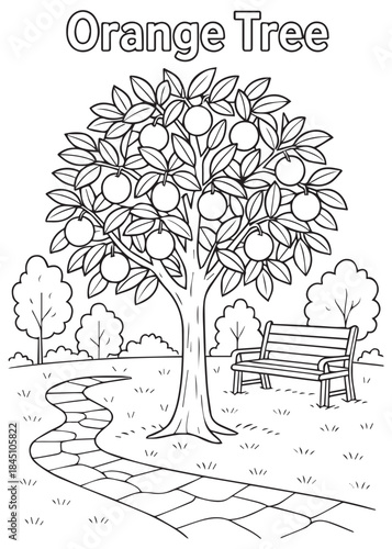 coloring book Orange tree near riverside walkway and park bench